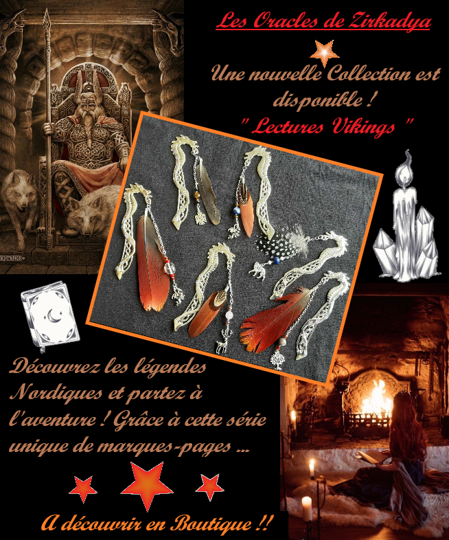 Lectures vikings