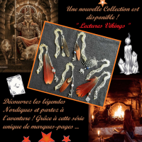Lectures vikings