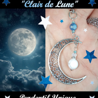 Cl fiche howlite