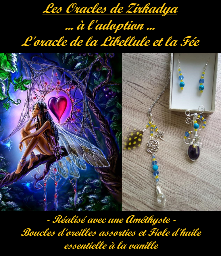 L oracle de la libellule et la fee